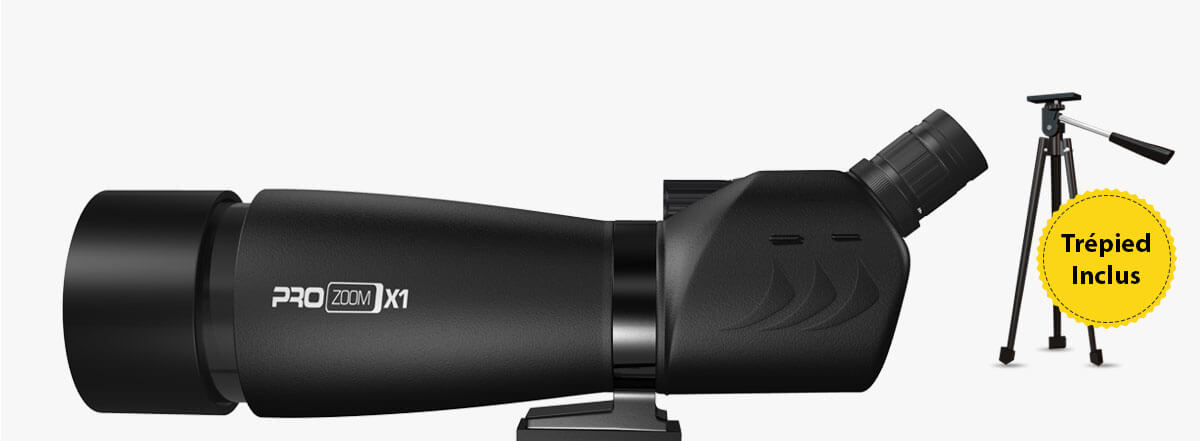 heider-ProZoom-V3-banner