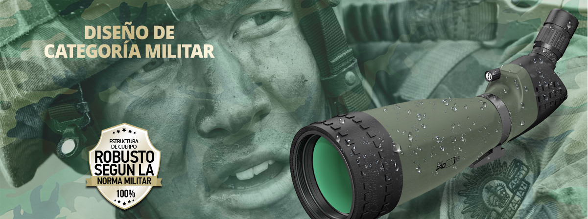 heider zoom x5 solid body